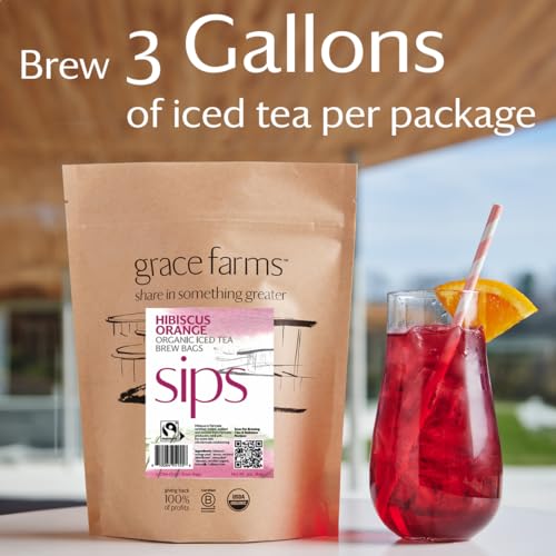 HIBISCUS ORANGE ORGANIC ICED TEA (12 Count)