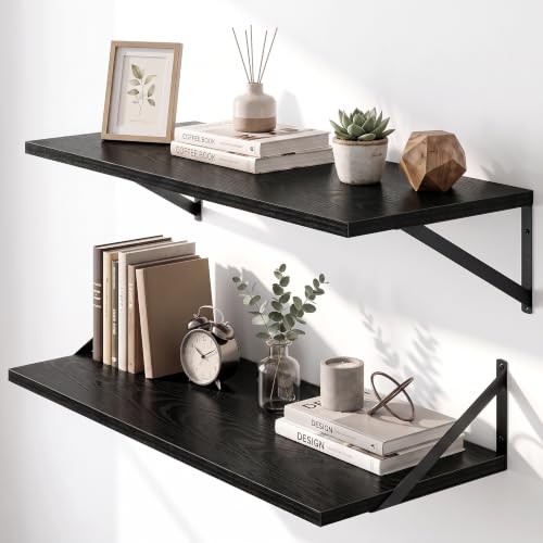 Wall Mounted Floating Shelves Set of 2 (2 Count)