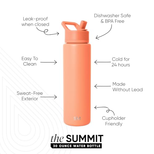 Insulated Water Bottle with Straw