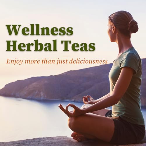 Yerba Mate Tea (40 Count)