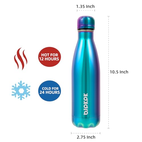 17 oz Insulated Water Bottle