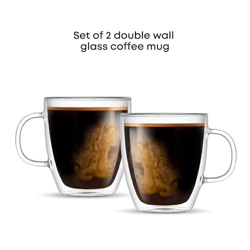 Savor Double Wall Insulated Glasses (2 Count)