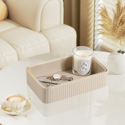 Desk Organizer Tray