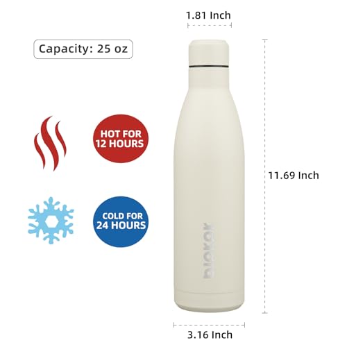 25 oz Insulated Stainless Steel Water Bottle