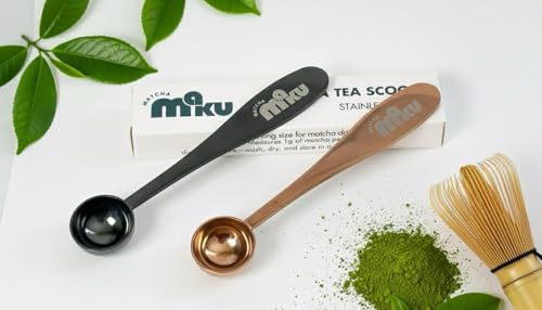 Stainless Steel 1 g Measuring Spoon for Matcha