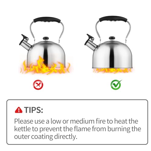 Whistling Tea Kettle
