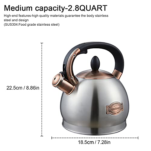 Tea Kettle 2.8 Quart Tea Kettles Stovetop Whistling Teapot Stainless Steel Tea Pots for Stove Top Whistle Tea Pot