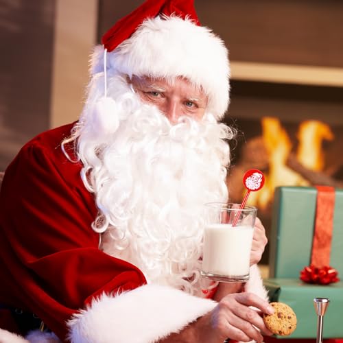 30 Pcs Christmas Drink Stirrers Santa Claus Stir Sticks (30 Count)