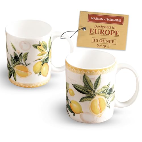 Coffee Mug with Handles Tea Cups (2 Count)