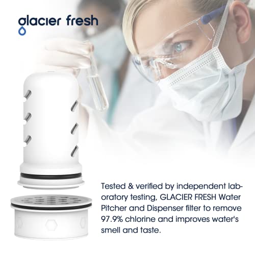 Pitcher Filters Compatible with LifeStraw