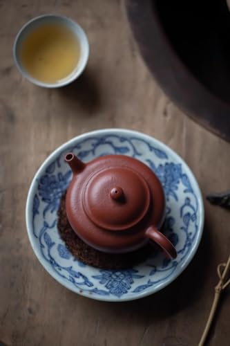 120cc chinese Yixing Handmade Zisha Da Hong Pao Clay teapot ""Bian Pan"" Gongfu Tea Pot teaworldsupply