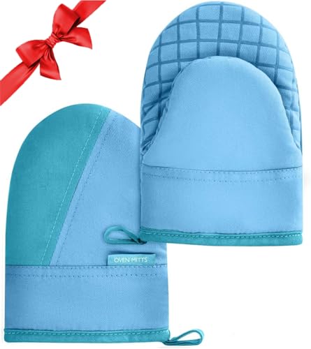 Mini Oven Mitts