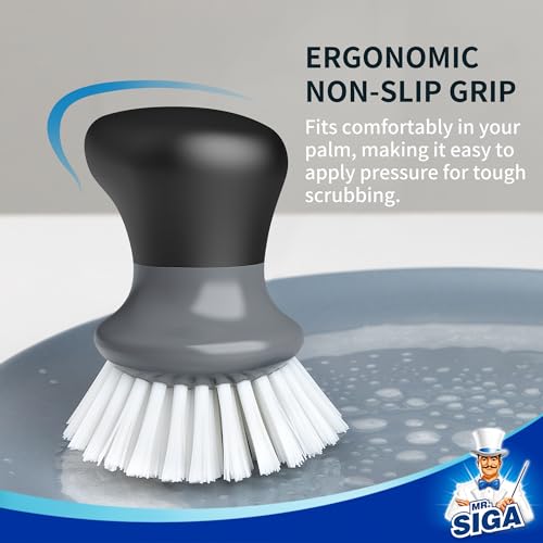Dish Scrub Brush (2 Count)