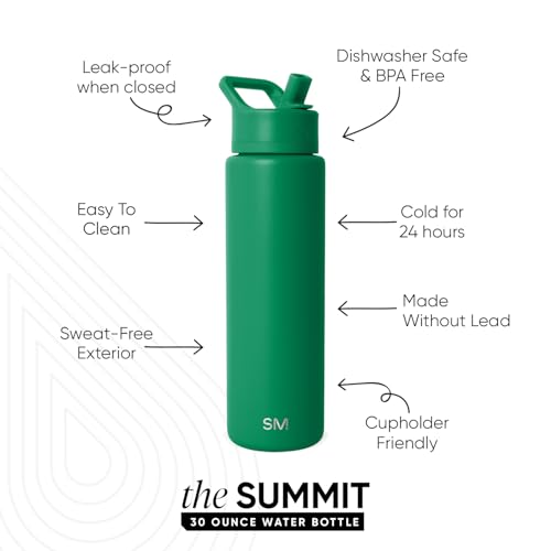 Insulated Water Bottle with Straw