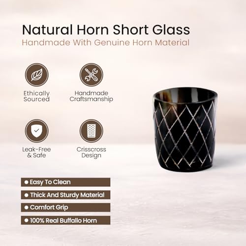 Viking Horn Shot Glasses Set of 12 (12 Count)