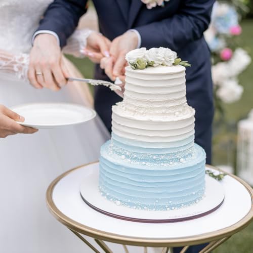 Acrylic Cake Scrapers (4 Count)