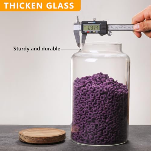 Vacuum Coffee Canister Glass Food Storage Jars With Airtight Lids Borosilicate Glass Coffee Canister Container for Coffee Beans & Grounds Tea Sugar Spices Kitchen