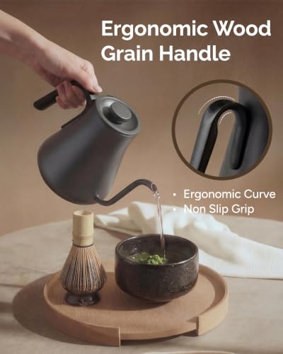 Electric Kettle