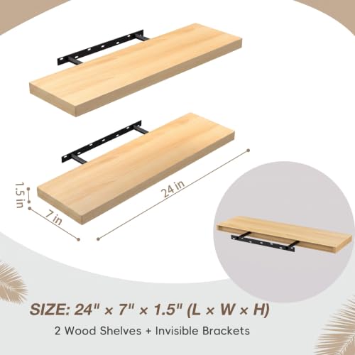 Floating Wall Shelves (2 Count)