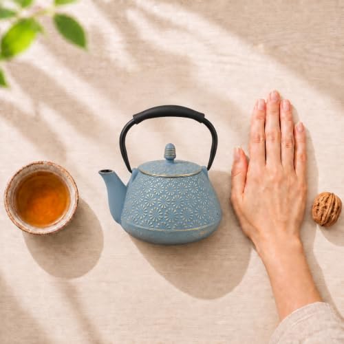 Cast Iron Teapot