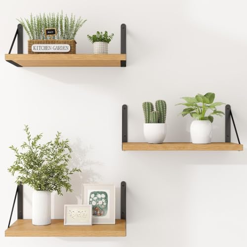 Floating Book Shelves for Wall (3 Count)