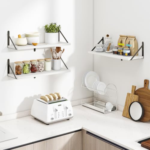 Floating Book Shelves for Wall (3 Count)