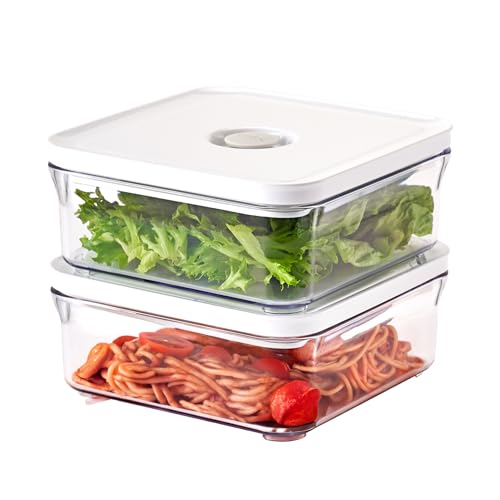 Premium Airtight Food Storage Containers (2 Count)