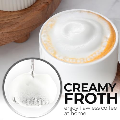 Rechargeable Milk Frother Handheld