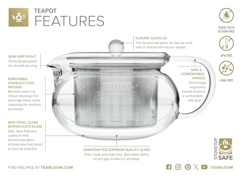 Kyoto 2-in-1 Tea Kettle and Tea Maker – Glass Teapot with Removable Loose Tea Infuser – Tea Connoisseur's Choice