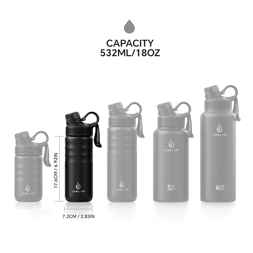 18oz Stainless Steel Insulated Bottle with 2 Leak