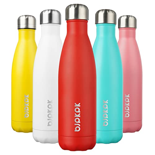 17 oz Insulated Water Bottle