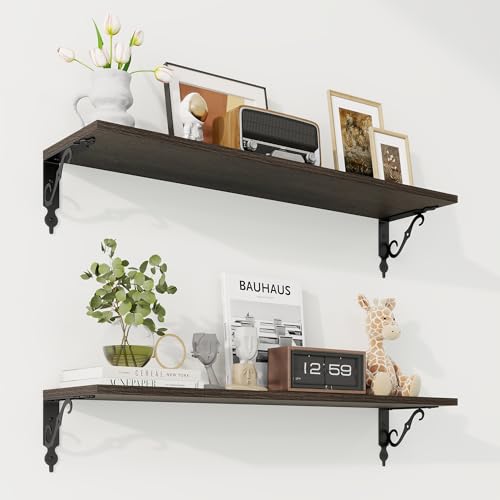 Floating Shelves for Wall Decor (2 Count)