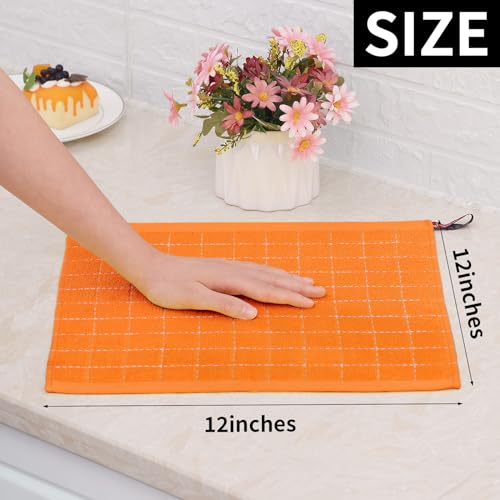 100% Cotton Terry Kitchen Dish Cloths (6 Count)