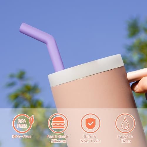 6PCS Stainless Steel Straws with Silicone Tip Fit for Stanley Cup (6 Count)
