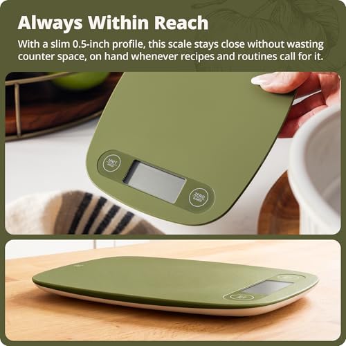 Food Scale Slim & Compact Build