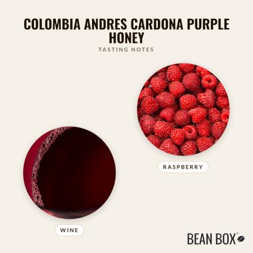 Colombia Andres Cardona Purple Honey (12 Ounce (Pack of 1))