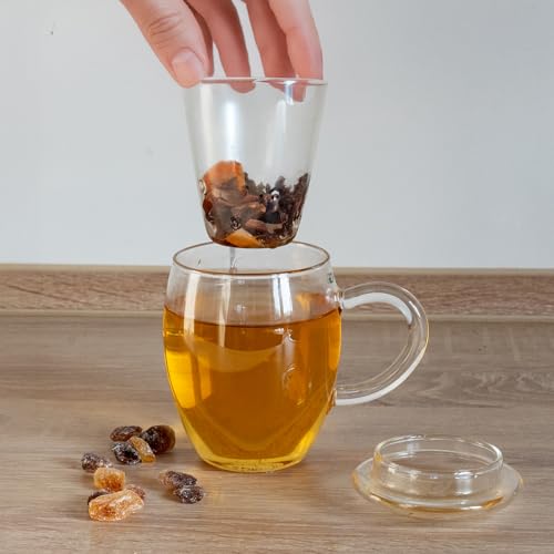 Tea Glass with Infuser and Lid 400ml