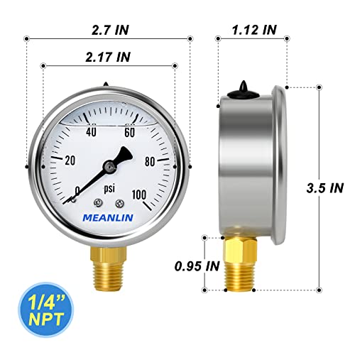 0~100Psi Stainless Steel 1