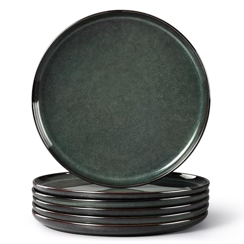 Ceramic 10.43 Inch Dinner Plates Set of 6