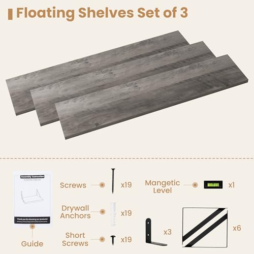 Floating Book Shelves for Wall (3 Count)