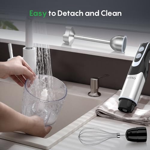 Immersion Blender Handheld