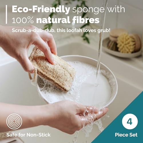 Bamboo Dish Brush • 3 Swap Heads & Loofah Sponge • 4 Piece (4 Count)