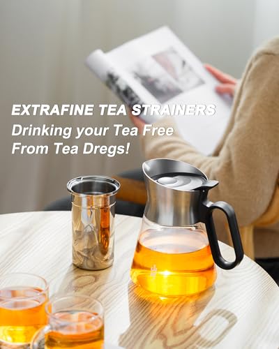 Glass Teapot with Infuser with 2 Cups for Loose Tea Steeper