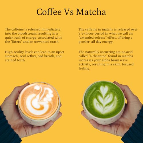 Passion Fruit Matcha Mix (3.5 Ounce)