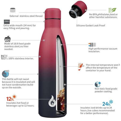 25 oz Insulated Stainless Steel Water Bottle