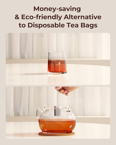 2 Pack Reinmoson 304 Stainless Steel Tea Infuser for Loose Leaf Tea (2 Count)
