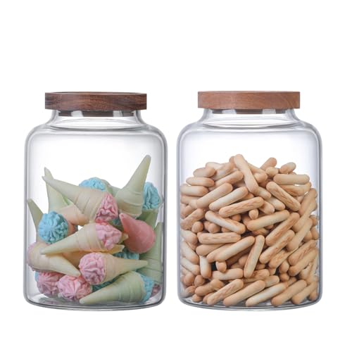 Large Glass Jar with Lid Set of 2