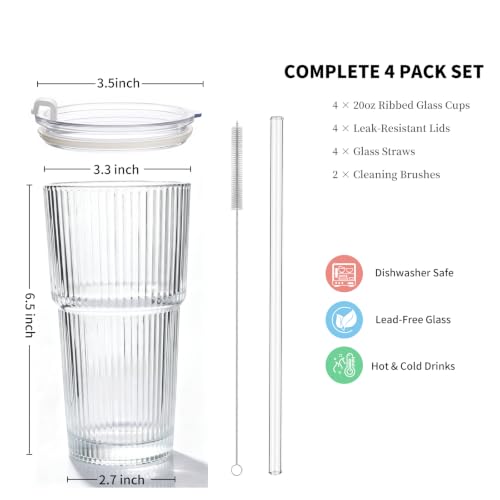 20oz Iced Coffee Cups with Lids and Straws (4 Count)