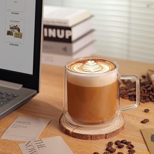 15oz Double Walled Glass Coffee Mugs (2 Count)
