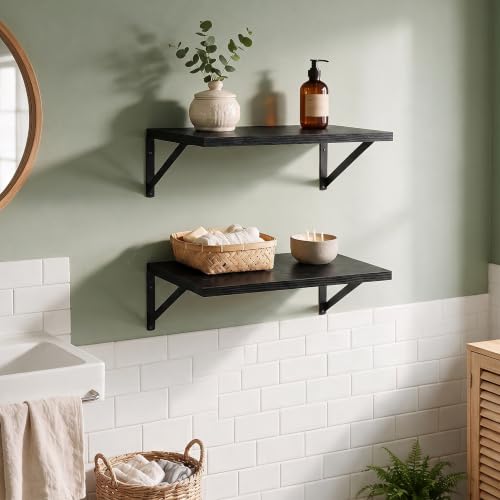 Wall Mounted Floating Shelves Set of 2 (2 Count)